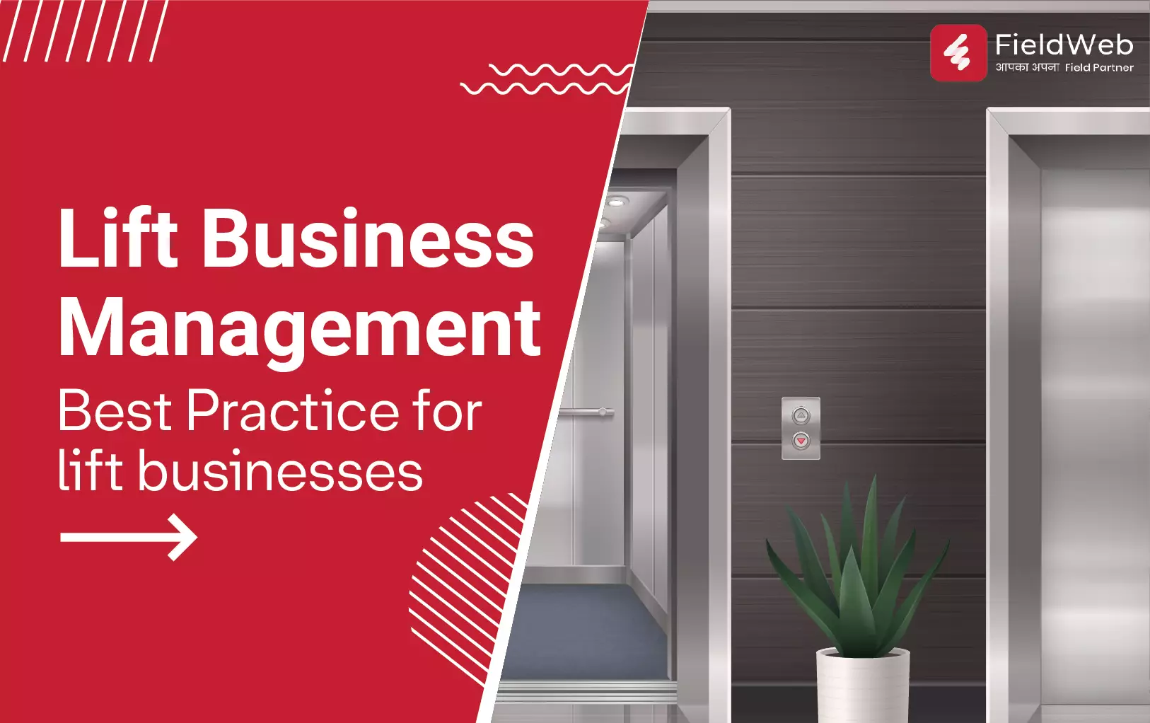 A luxurious elevator in a high-end building where there is a plant kept, the other half of the image is in red background where the details have been mentioned.